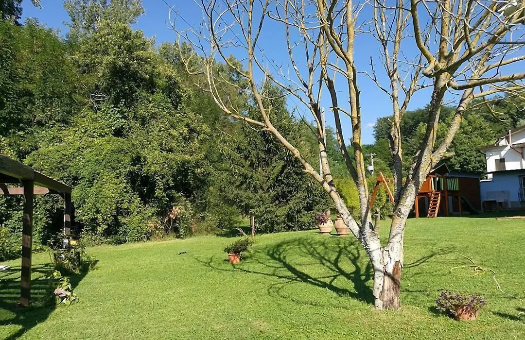 Albergo Il Sicomoro-1